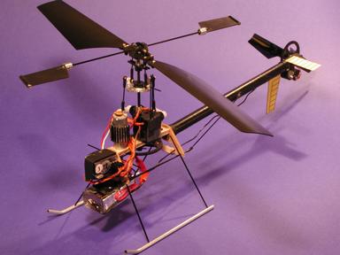House Fly
flyable 2