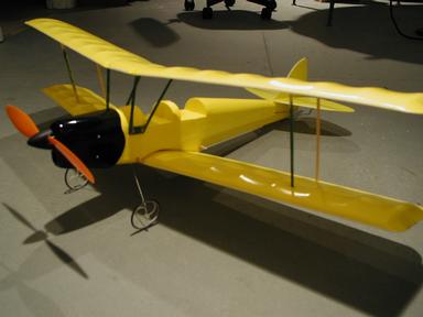 tiger-moth-medium.jpg